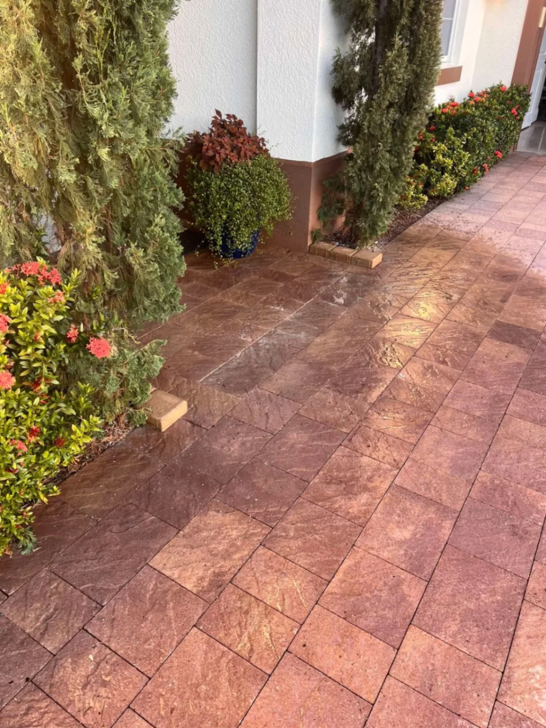 Finished paver walkway along the side of a home lined with flowering shrubs