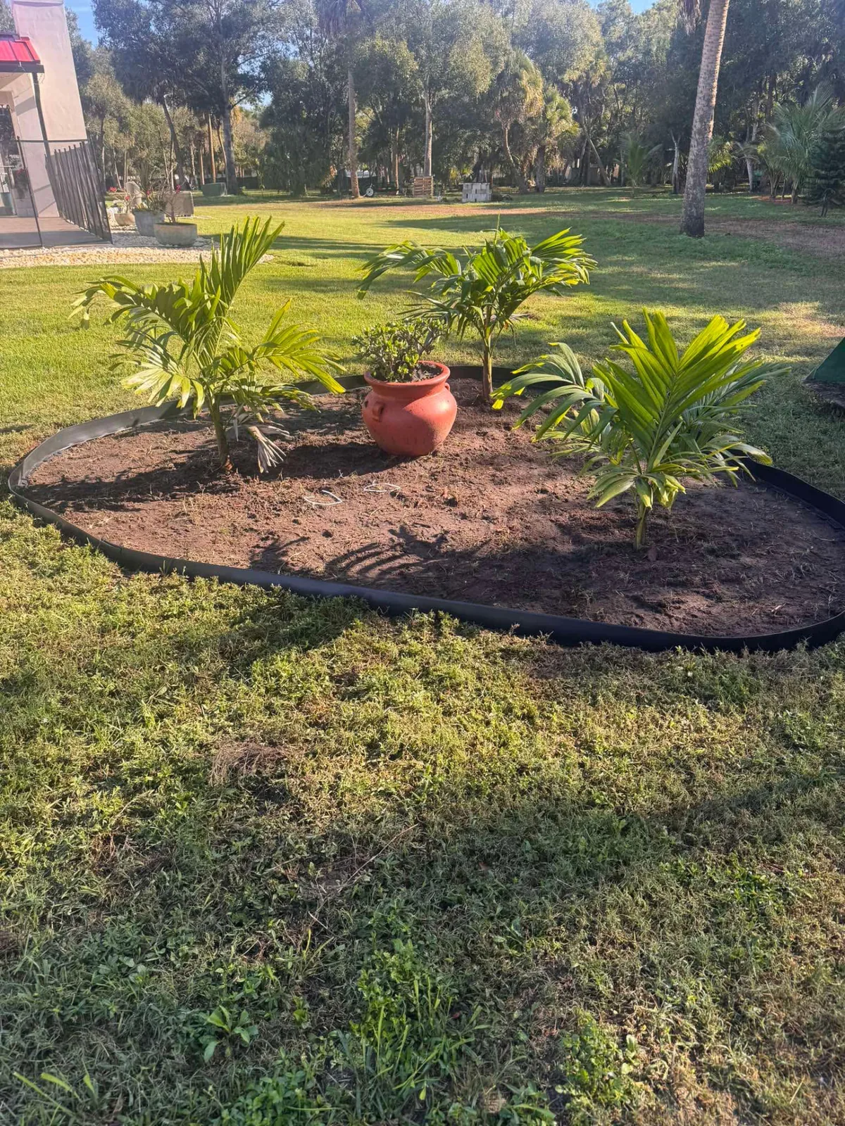 Planting Services project by Sunrise Landscape LLC