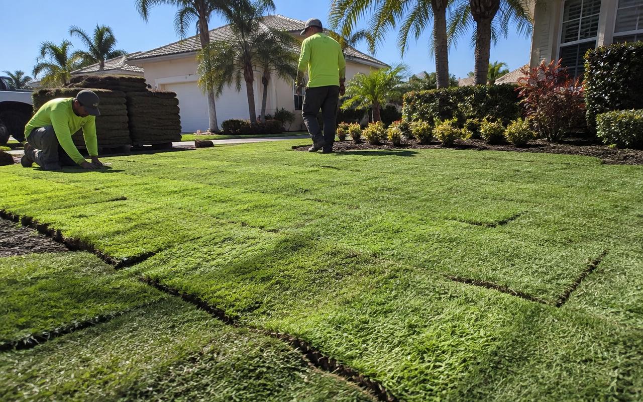 Sod Installation illustration
